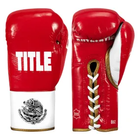 TITLE Boxeo Pro Fight Gloves